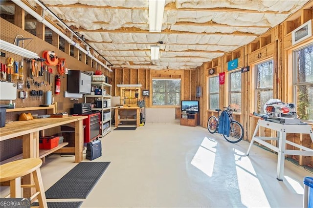 basement featuring a workshop area