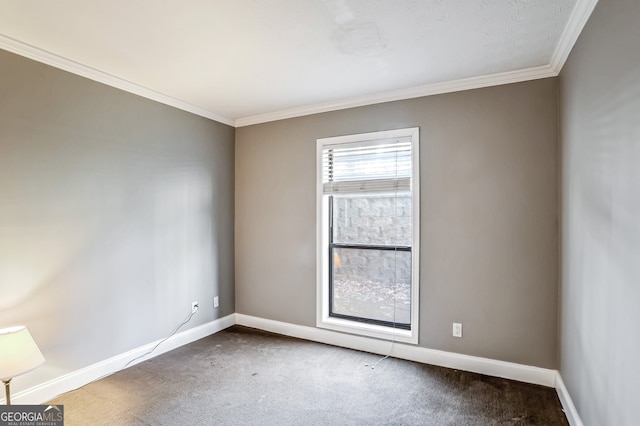 unfurnished room featuring crown molding and carpet floors