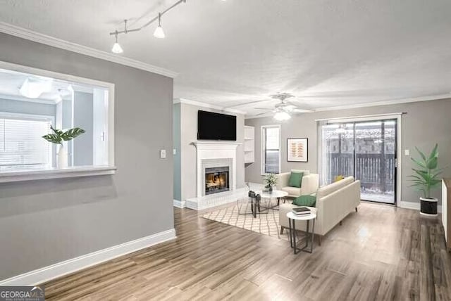 living room with ceiling fan, wood-type flooring, track lighting, and ornamental molding