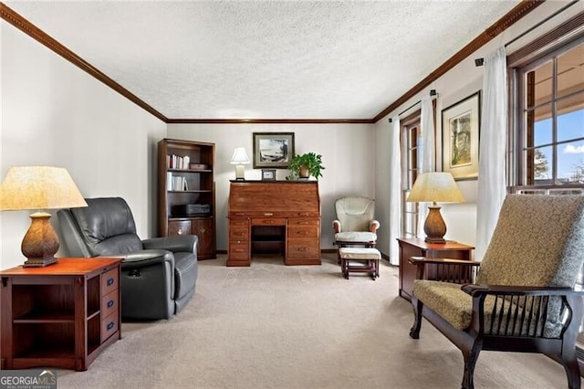 sitting room with a textured ceiling, light colored carpet, and crown molding