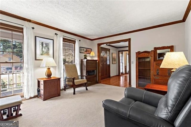 carpeted living room with a textured ceiling and ornamental molding