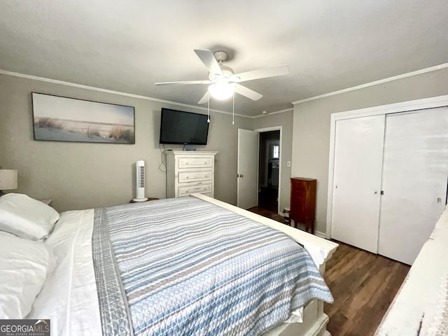 bedroom with ceiling fan, a closet, dark wood-type flooring, and ornamental molding