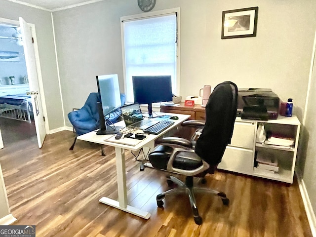 office featuring hardwood / wood-style flooring