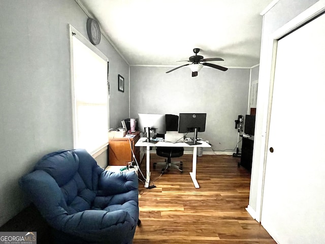 office area featuring ceiling fan and hardwood / wood-style flooring