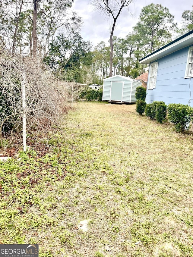 view of yard featuring a storage unit