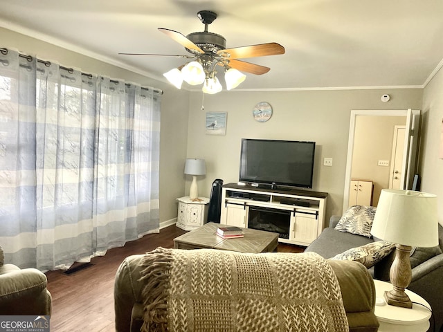 living room with crown molding, ceiling fan, and dark wood-type flooring