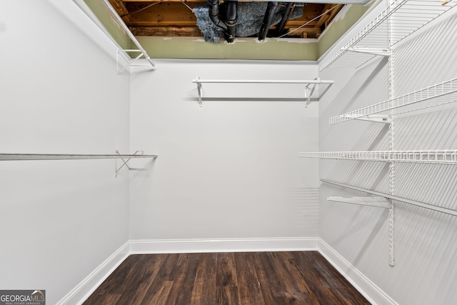 walk in closet with hardwood / wood-style floors