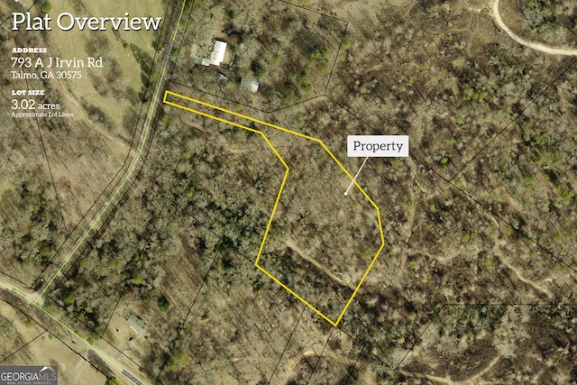 793 A J Irvin Rd, Talmo GA, 30575 land for sale