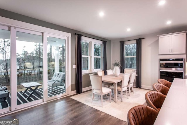 dining room featuring dark wood-type flooring