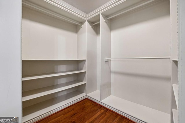 spacious closet featuring wood-type flooring