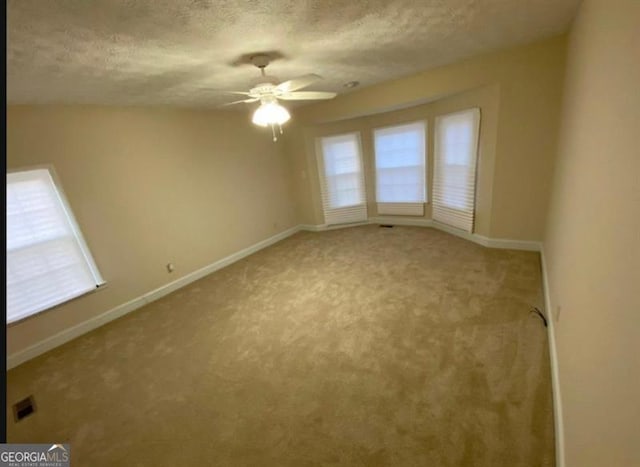 empty room with a wealth of natural light, ceiling fan, carpet, and a textured ceiling