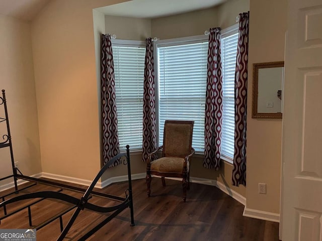 sitting room with dark hardwood / wood-style flooring