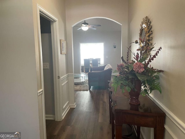 corridor with dark hardwood / wood-style flooring