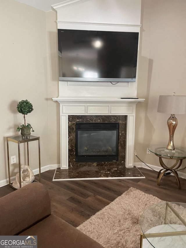 details with wood-type flooring and a fireplace