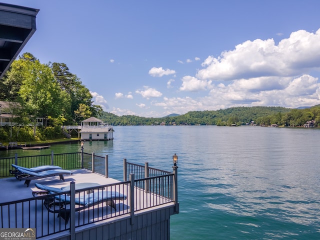 dock area with a water view