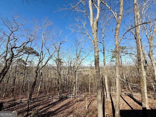 view of local wilderness