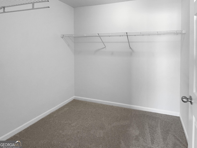 spacious closet featuring carpet floors