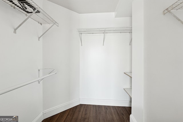 spacious closet with dark wood-type flooring