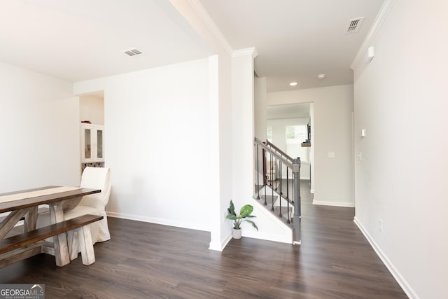 dining space with ornamental molding and dark wood-type flooring