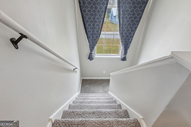 stairs with carpet floors