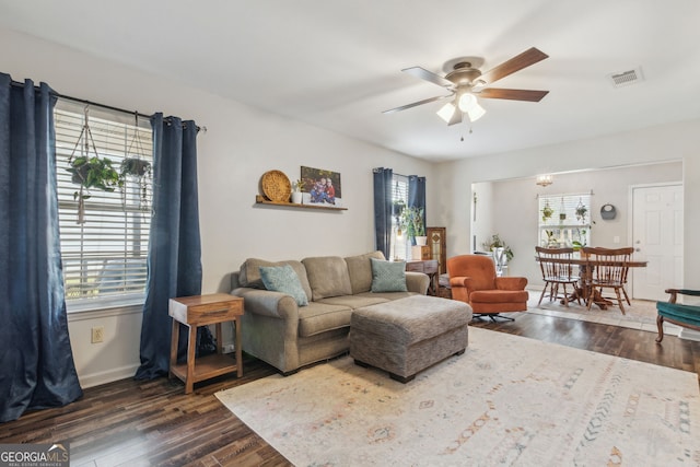 living room with a wealth of natural light, dark hardwood / wood-style floors, and ceiling fan