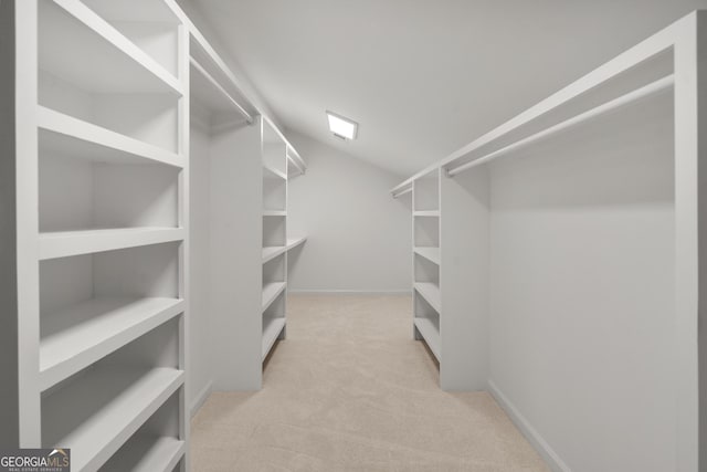 walk in closet with light colored carpet