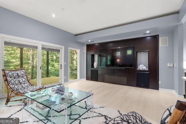 living room featuring wood-type flooring