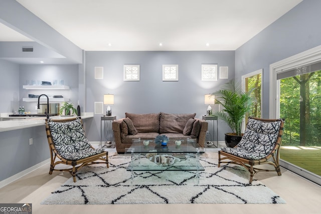 living room featuring sink