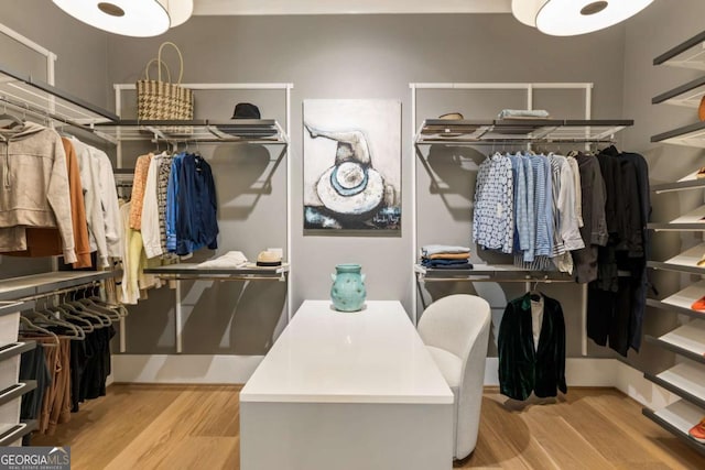 spacious closet with light wood-type flooring