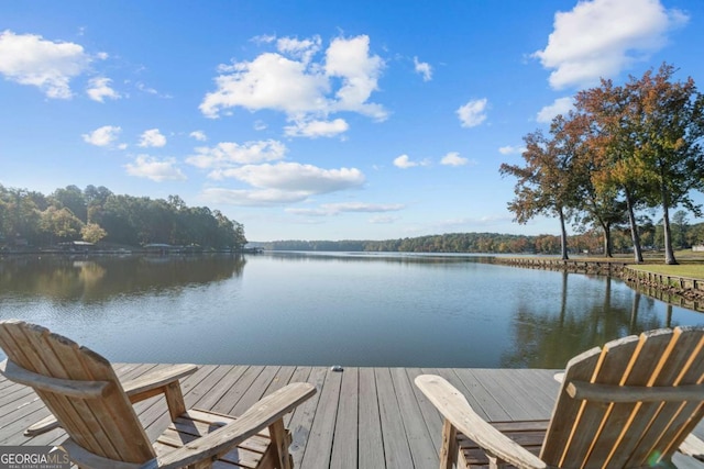 dock area with a water view