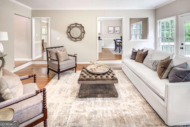 living room with hardwood / wood-style flooring and crown molding