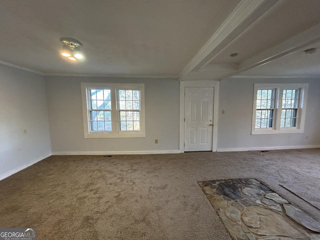 interior space with crown molding and carpet flooring