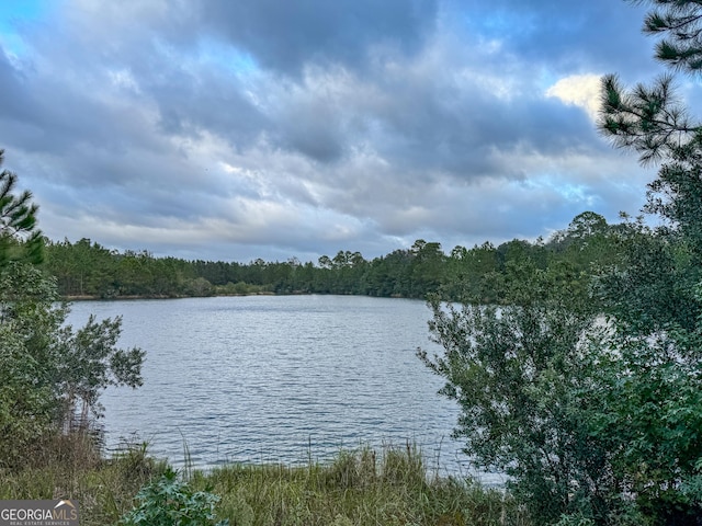 view of water feature