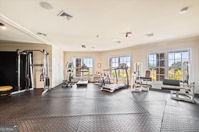 gym featuring ornamental molding