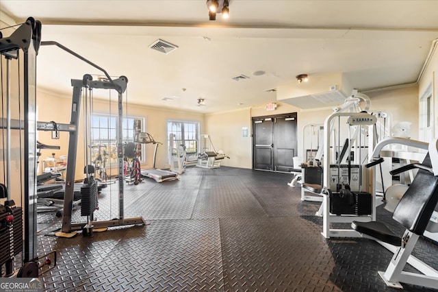 exercise room featuring ornamental molding