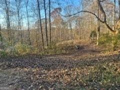 0 Mountain Creek Dr, Rome GA, 30161 land for sale