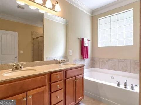 bathroom featuring vanity, crown molding, and independent shower and bath