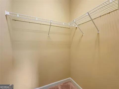 spacious closet featuring carpet floors