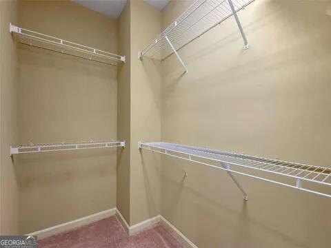 walk in closet with carpet flooring