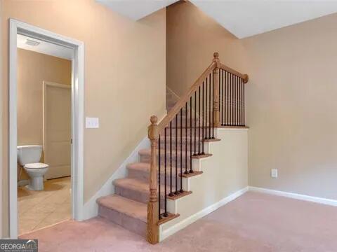 stairway featuring carpet floors