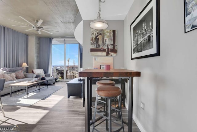 dining space featuring light hardwood / wood-style floors, floor to ceiling windows, and ceiling fan