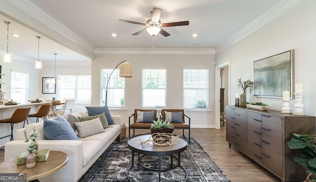 living room with ceiling fan, hardwood / wood-style floors, and ornamental molding