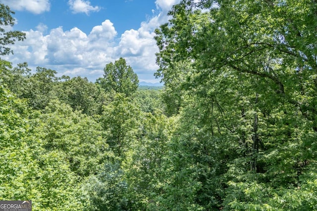 view of local wilderness