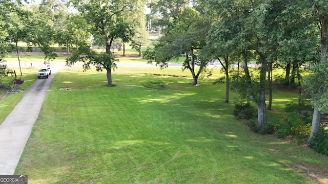 view of property's community featuring a lawn