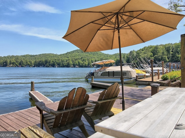 dock area with a water view