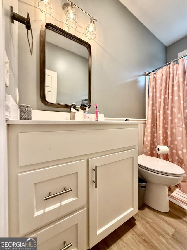 bathroom featuring toilet, vanity, and hardwood / wood-style flooring