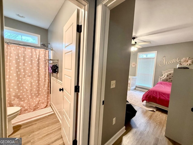 hallway featuring a healthy amount of sunlight and light hardwood / wood-style flooring