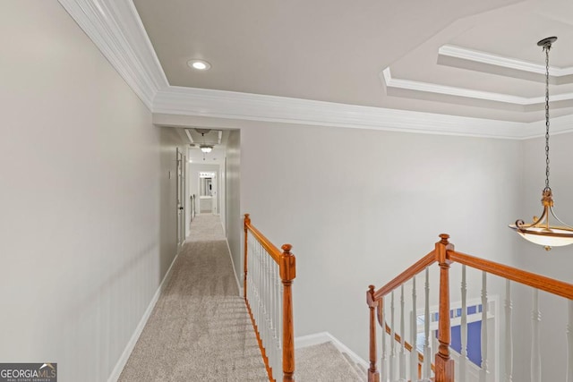 hall with carpet flooring, a tray ceiling, and ornamental molding