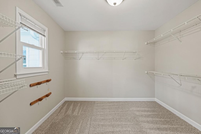 walk in closet with carpet flooring