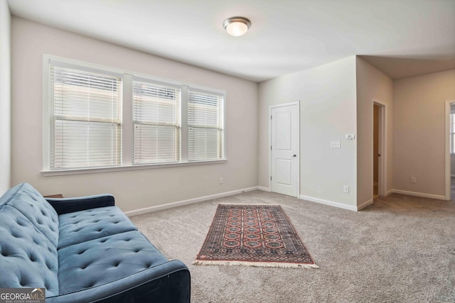 sitting room featuring carpet flooring